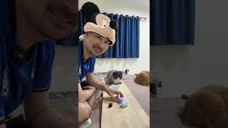 Review of Micropets toys from Japan.
