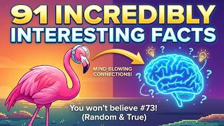 91 Incredibly Interesting Facts | Random Facts You Didn’t Know