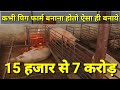 Modern Pig farming in Rajasthan ! How to make pig farm in india in hindi आधुनिक सुकर पालन
