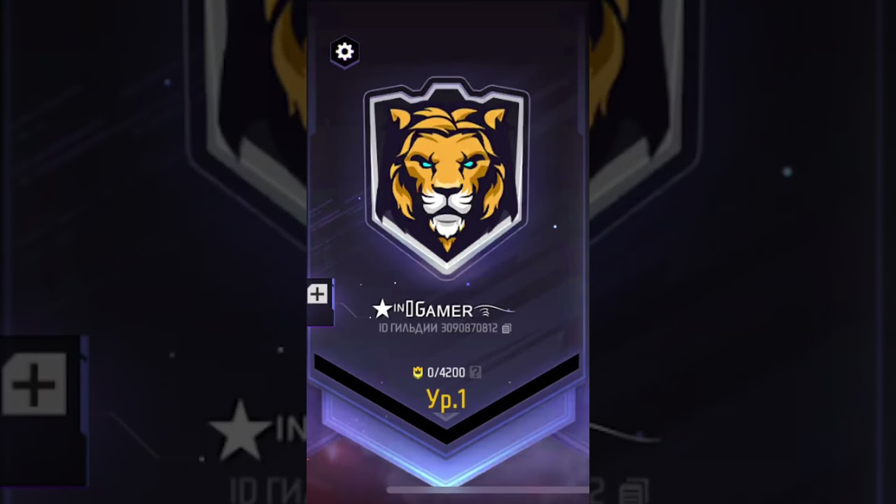 Новая гильдия подпишиков