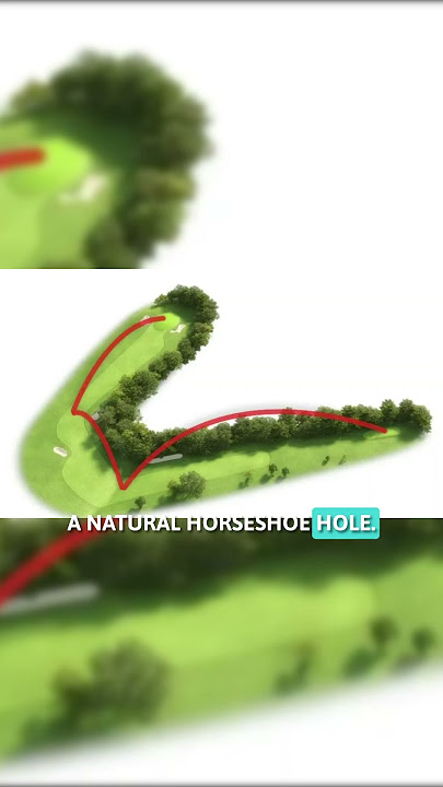 Understanding the Horseshoe