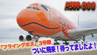 ふじのページ ／フライングホヌ３機まとめ mqdefault.jpg