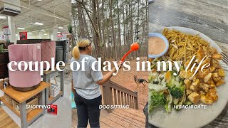 vlog ☆ pet sitting as a side hustle, planner shopping, organizing my space & more