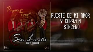 Pequeña Y Frágil - Sin Límite / Vídeo Lyrics 2019