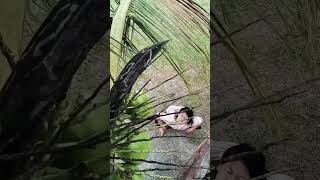 Download Lagu SiENDUT yang suka ngeyel #sorotan #komedi #ngakak #lucu #jangkauanluas MP3