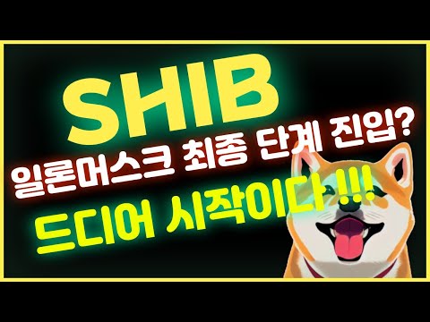   시바이누 코인 일론머스크 최종 단계 진입 드디어 시작입니다 드디어 시바이누분석 시바이누전망 시바이누호재 자동매매프로그램