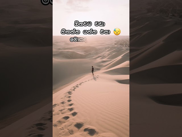 කතාව ඇත්ත නම් කමෙන්ට් කරන්න 🥺🥀 Sad whatsapp status video | Wadan | Adara Wadan #sad_video  #wadan class=