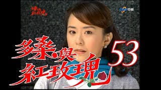 『多桑與紅玫瑰』第53集（劉嘉玲王識賢藍正龍陳冠霖黃仲崑 ... 