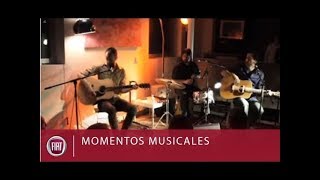 Fiat | havalina - incursiones