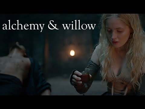 The Alchemical Journey of Willow