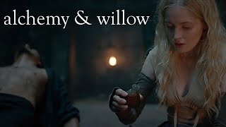 The Alchemical Journey of Willow