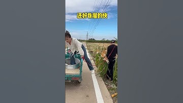 Let me work in the fields every day, just don