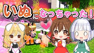 【マイクラ】🌸魔理沙が子犬にされちゃった！🐶😱【ゆっくり実況】【マインクラフト】【まいくら】