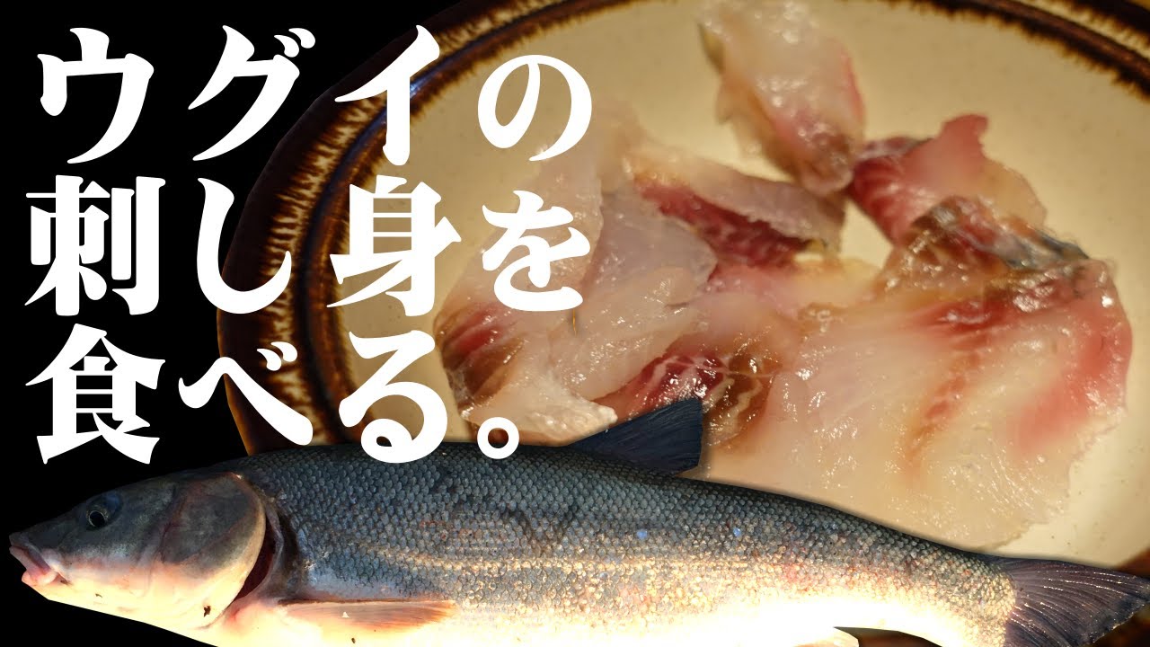 ハヤ ウグイの刺身を食べてみた結果 絶品だった アカハラ Youtube ハヤ ウグイの刺身を食べてみた結果 絶品だった アカハラ Youtube