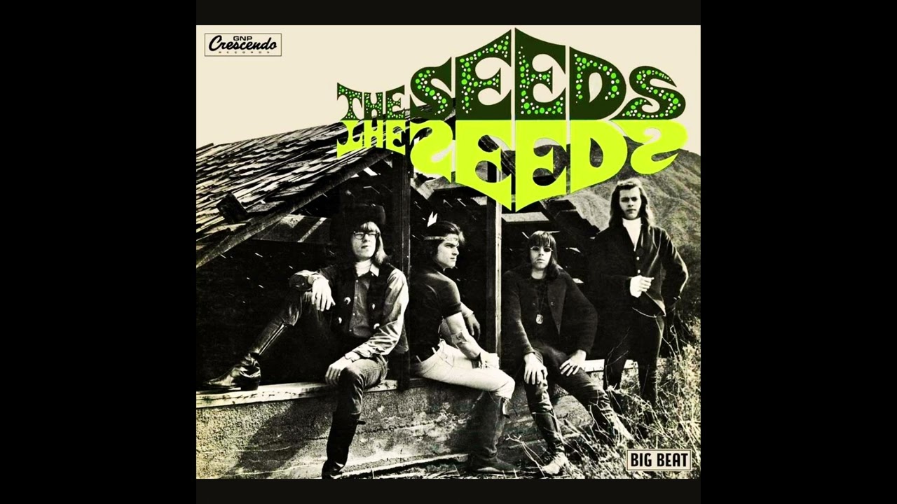 The Seeds - Pushin' Too Hard - 1966 - 5.1 surround (STEREO in