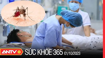 Điều trị kịp thời và đúng cách bệnh sốt xuất huyết | Sức khỏe 365 | ANTV