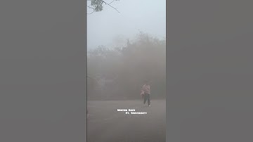 Jawaharlal Nehru University 🍁💌 #jnu #jnulife #travel #vlog #jnucampus #college #jnuuniversity