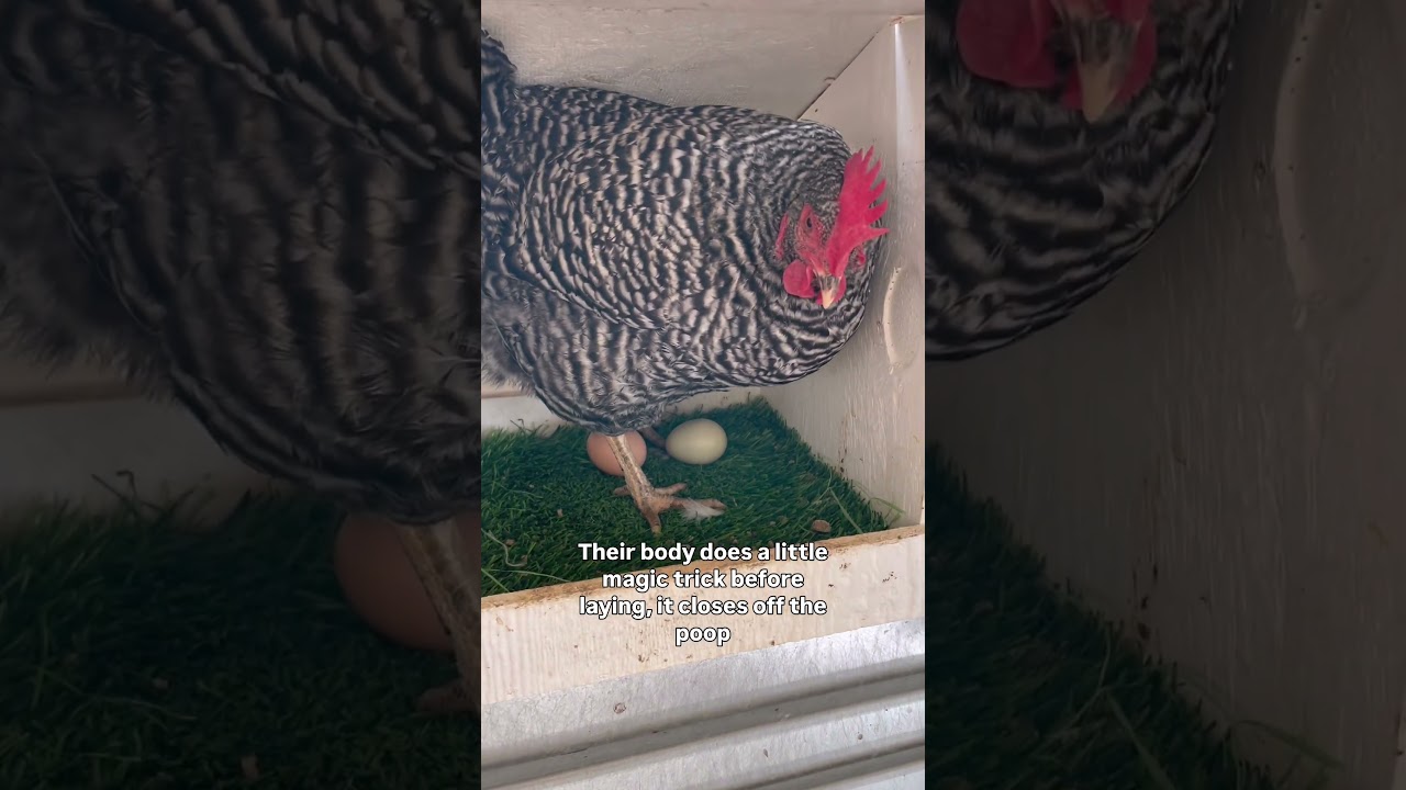 I can't believe this happened!!!