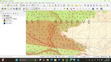 Digitization in Q gis with Denis