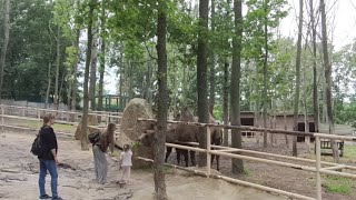 حديقة الحيوانات خاركوف