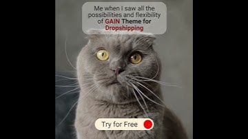 The Best Shopify Theme for Dropshipping Business | 2023 2024