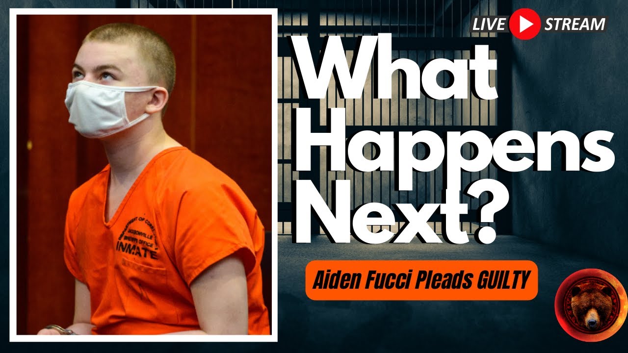 Tristyn Bailey murder: Aiden Fucci does 180 just before trial, admits ...