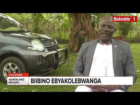 Agataliikonfuufu: Bibiino ebyaakolebwanga okulwanyisa ensekere Ogiggwa teguba muka