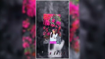 PAL PAL DIL KE PASS 😊💝||TIKTOK NEW TREND XML 🥀💕||NEW TREND XML 👻💥||XML BY @ansu_editz_9x