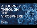 A journey through the virosphere   the royal society