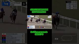 tercera carrera de hoy domingo (SMILE PO) #datos #americanas #hipica #gulfstream