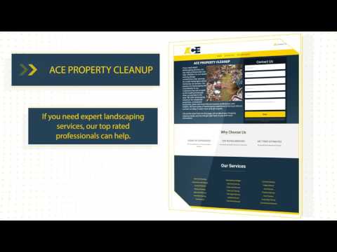 Professional Property Cleanup