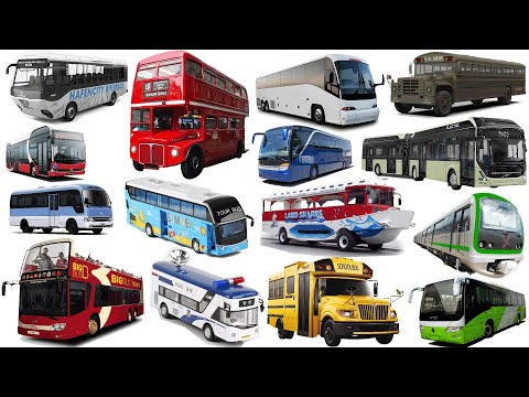 Video: Tìm hiểu về Taxi Xe Buýt Đen ở Luân Đôn