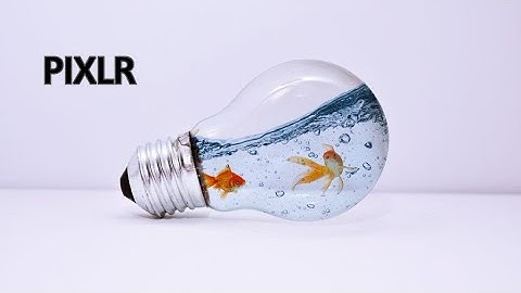 Light Bulb Photo Manipulation - Pixlr Editor