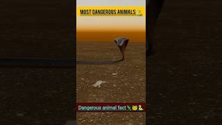 5 Most Dangerous Animals Facts 😨 #animalfacts #topfacts #dangerousanimals #viral #facts #shortvideo