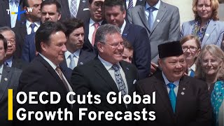 World GDP Growth Forecast Cut by OECD, AI Remains Strong｜TaiwanPlus News