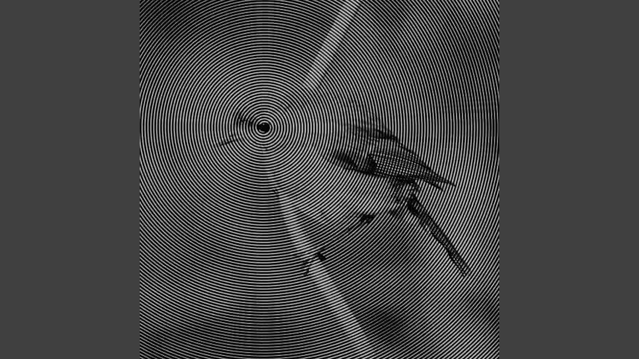 Watch Vicious Circles on YouTube Watch Vicious Circles on YouTube