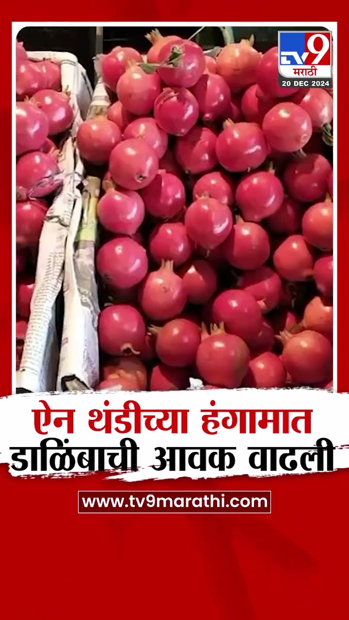 Navi Mumbai News | थंडीच्या हंगामात डाळिंबाची मागणी वाढली तर दरही वाढले