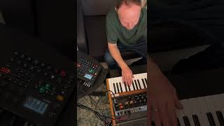1 April #behringer #digitakt2 #polyd #bass #arp #melody #electronicmusic #analog
