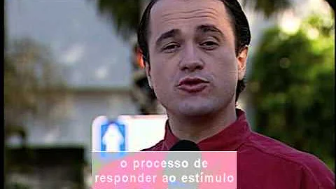 Qual é a função do sistema sensorial?