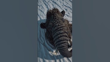 Arctic mammoth #AI #Sora #OpenAI