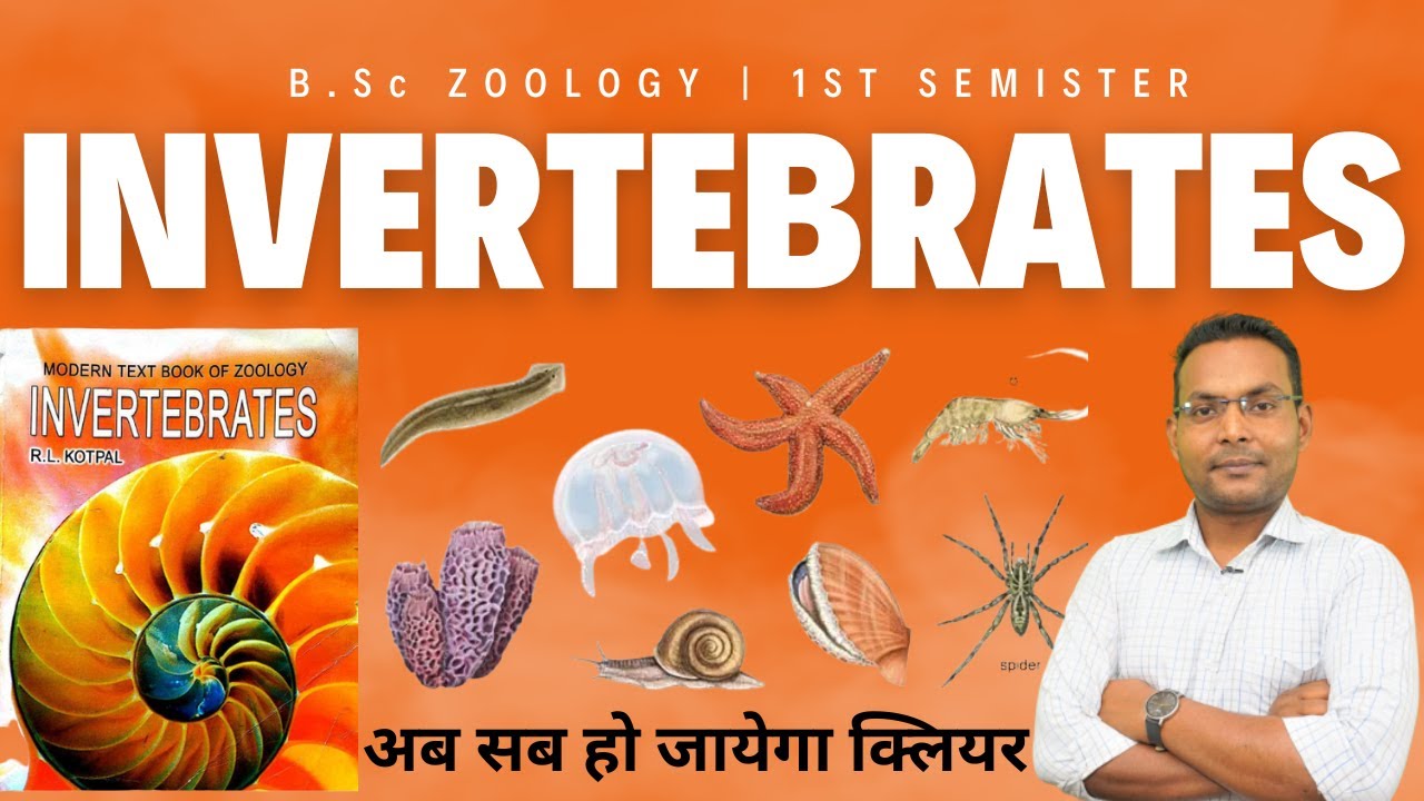 b-sc-zoology-chapter-1-invertebrates-r-l-kotpal-youtube