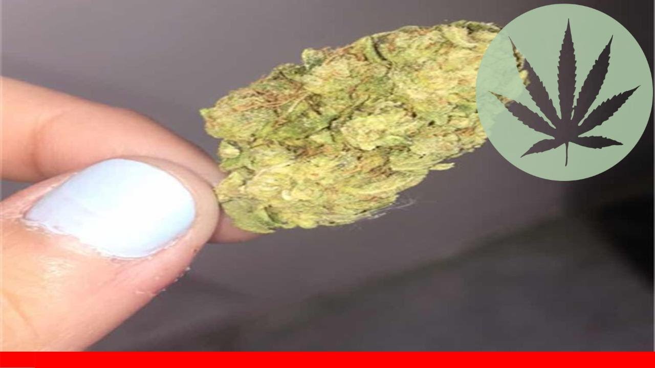 Blackberry Hashplant - All About This Strain