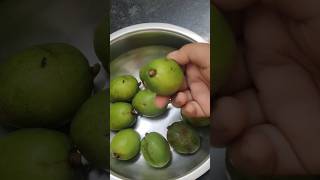 Aamda Ki Khatti Meethi Chutney