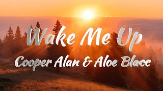 Cooper Alan U0026 Aloe Blacc  Wake Me Up karaoke Version
