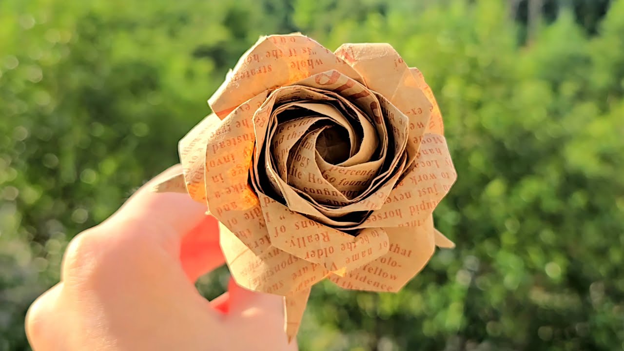 【折纸】七夕 五瓣佐藤玫瑰 Origami Pentagon Rose by Naomiki Sato