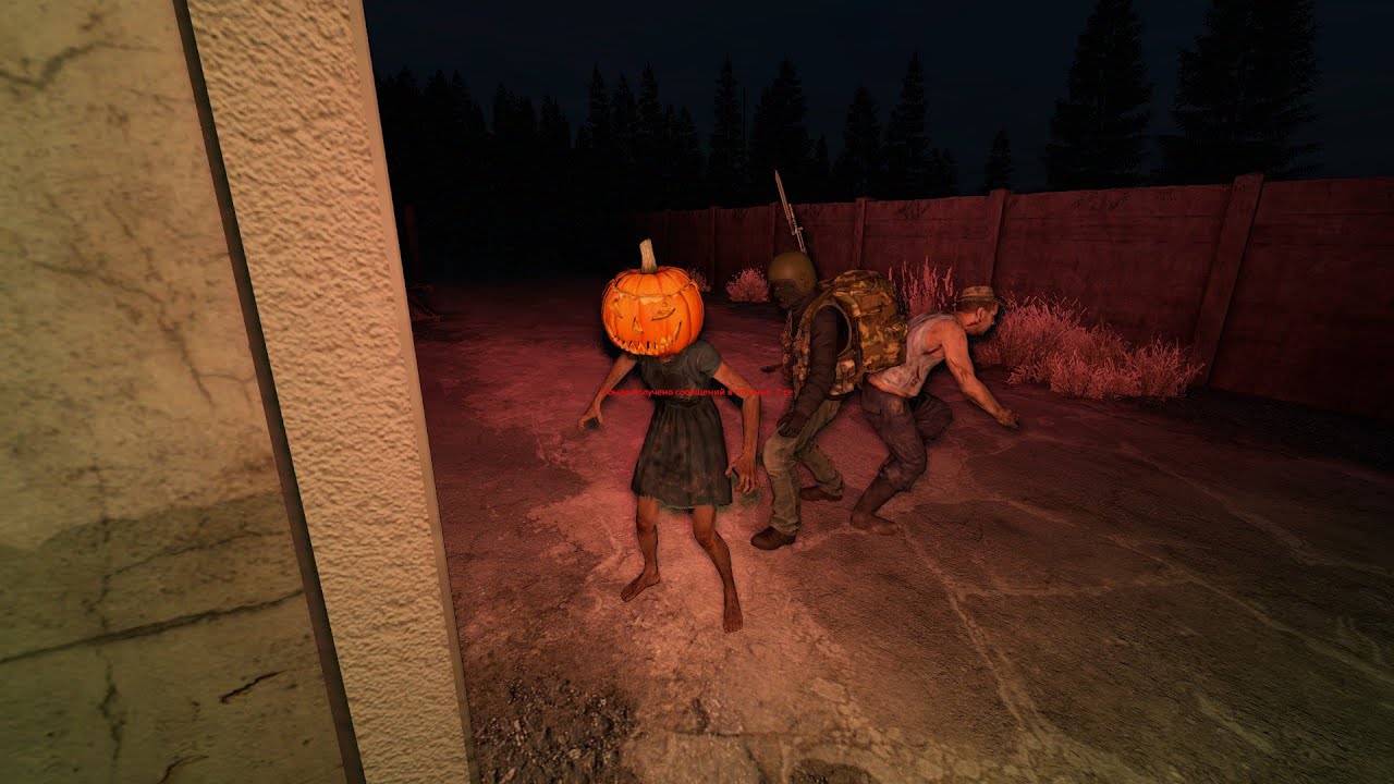 Dayz 1,10 ЗИМНЕЕ ПОЛЮШКО