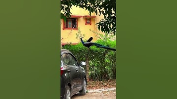 Ft. BHU💛@bhu_fmc (Bhu, Banaras, Kashi, Varanasi Banaras Hindu University #college #Mahakumbh #Viral