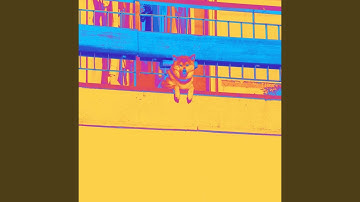 Dashing Doggo Resting