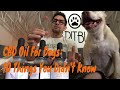 #Poop4U Cannabis Saved my Dog - CBD Oil For Dogs: 10 Things You Didn't K...