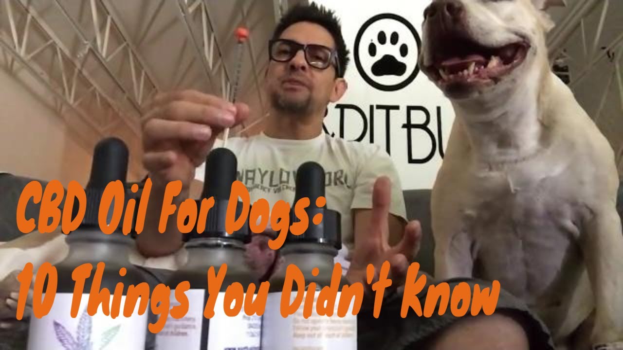 #Poop4U Cannabis Saved my Dog - CBD Oil For Dogs: 10 Things You Didn't Know - Dogs Naturally